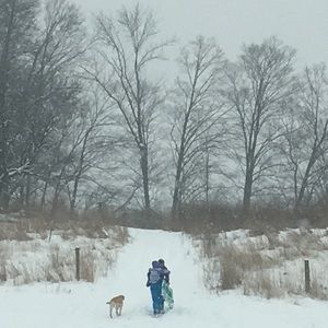 Meet your Posher, Mckinley